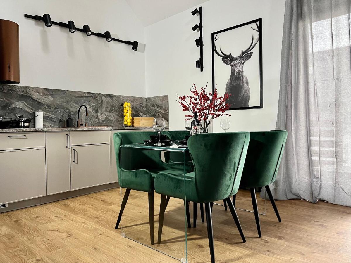 Apartamenty Maxa Czornyja Jelenia Góra Buitenkant foto