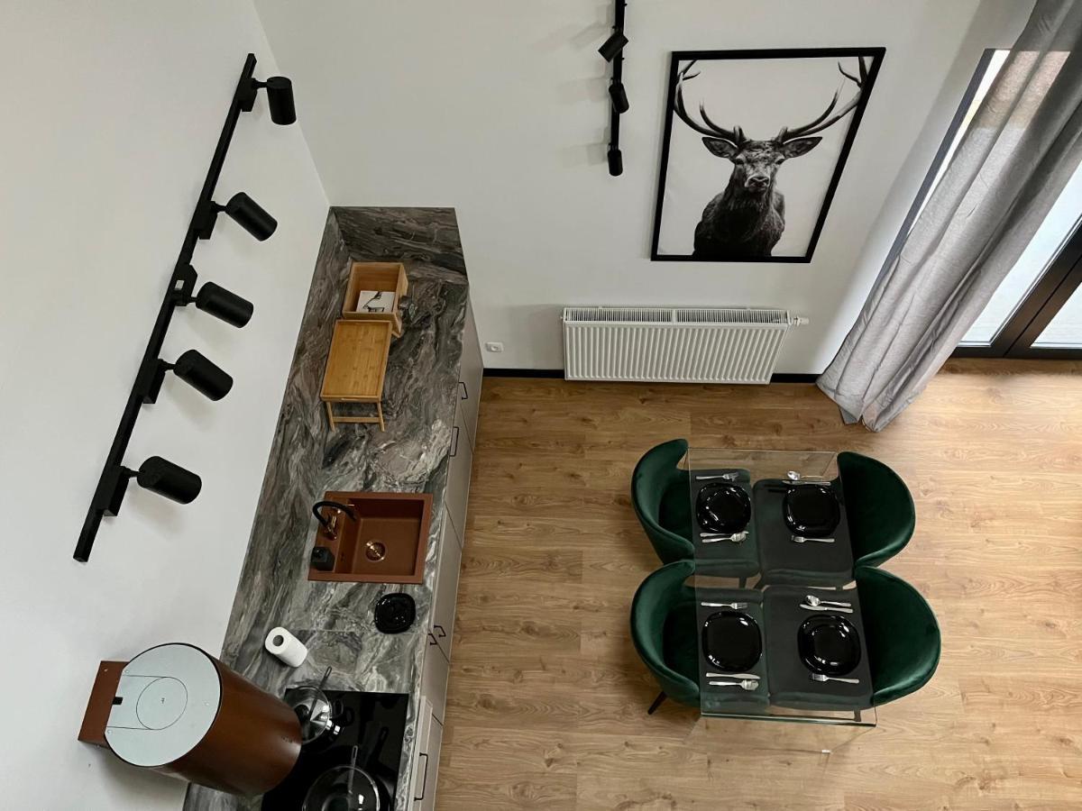 Apartamenty Maxa Czornyja Jelenia Góra Buitenkant foto