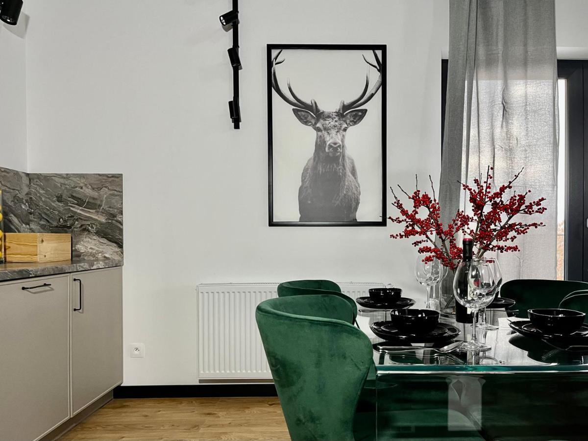 Apartamenty Maxa Czornyja Jelenia Góra Buitenkant foto